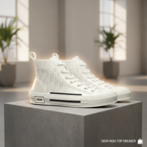 Dior B23 High Top Transparent White Sneakers
