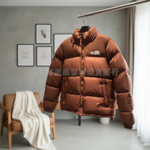 The North Face Brown Winter Puffer Jacket